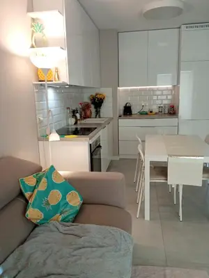 Kuchnia lub aneks kuchenny w obiekcie Złoty apartament Bokserska