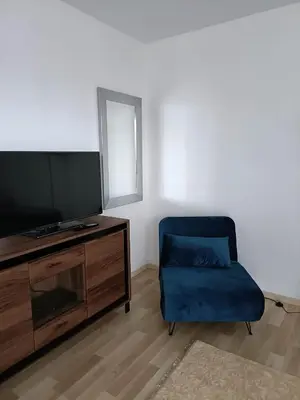 Telewizja i/lub zestaw kina domowego w obiekcie Apartament Paderewskiego 1