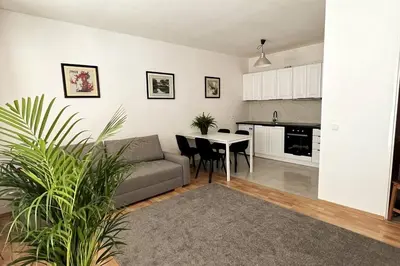 Kuchnia lub aneks kuchenny w obiekcie Apartment Kabacki Dukt