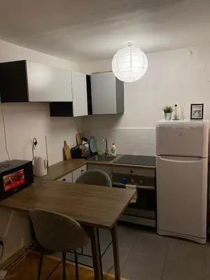 Kuchnia lub aneks kuchenny w obiekcie Apartament Niepodległości