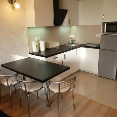 Kuchnia lub aneks kuchenny w obiekcie apartment in the center Graniczna
