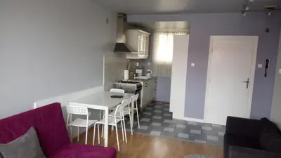 Kuchnia lub aneks kuchenny w obiekcie Apartament Saski