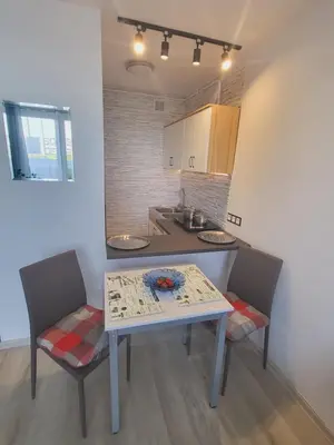 Kuchnia lub aneks kuchenny w obiekcie Apartament Park Saski
