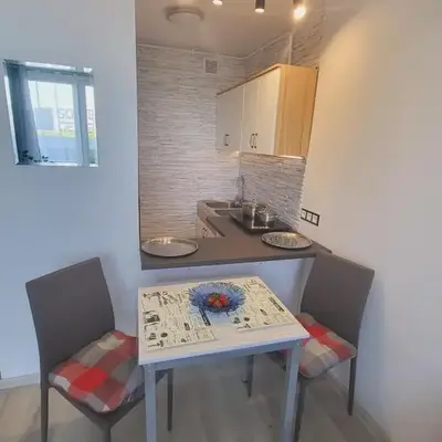 Apartament Park Saski