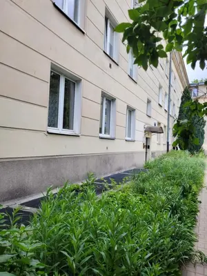 Ogród w obiekcie Apartament Boni