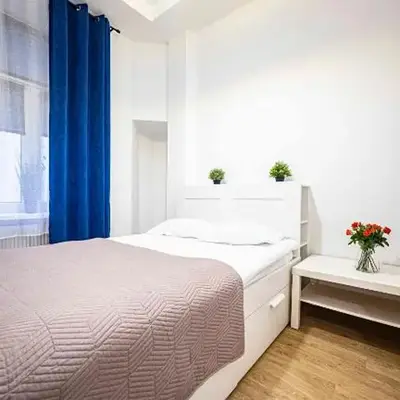 Spacious Apartment with 3 meter ceilings