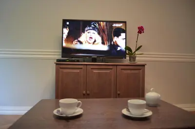 Telewizja i/lub zestaw kina domowego w obiekcie Apartament Orchidea Centrum