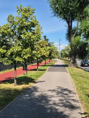 Okolica w pobliżu tego apartamentu