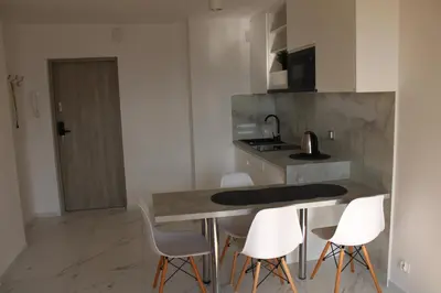 Kuchnia lub aneks kuchenny w obiekcie Strict center Warsaw comfortable apartment, 10th-floor with beautiful view on the park and skyscrapers, free WiFi, self check-in/out