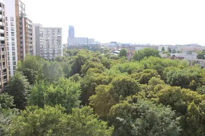 Przyroda w pobliżu tego apartamentu
