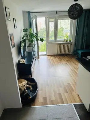 Plan piętra w obiekcie Pet’s House Warsaw