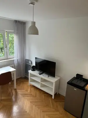 Telewizja i/lub zestaw kina domowego w obiekcie Przytulna kawalerka typu studio