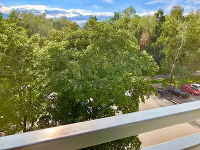 Przyroda w pobliżu tego apartamentu