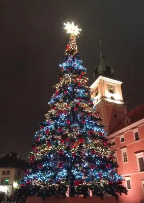 Plan piętra w obiekcie Mokotowskie moje sny