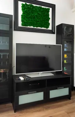 Telewizja i/lub zestaw kina domowego w obiekcie Wilanów 2-Bedroom Apartment by BookingHost