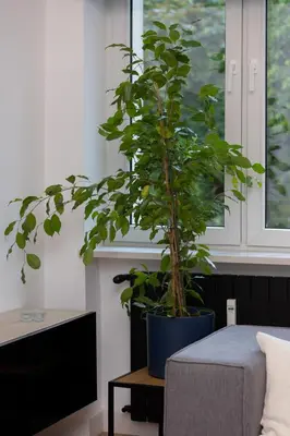 Część wypoczynkowa w obiekcie Warsaw Central Apartment 10 min walk from Palace of Culture & Science by Noclegi Renters