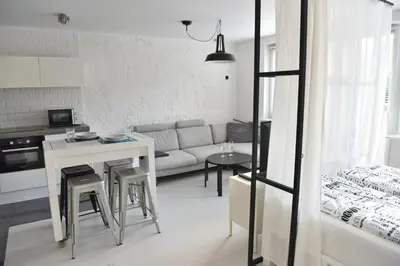 Kuchnia lub aneks kuchenny w obiekcie Apartment Warsaw Center Mokotowska