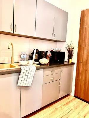 Kuchnia lub aneks kuchenny w obiekcie Best 1 Room Condo in Warszawa Center