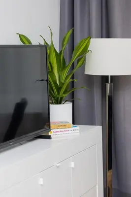 Telewizja i/lub zestaw kina domowego w obiekcie Studio Bruna Metro Pole Mokotowskie by Noclegi Renters