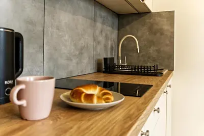 Kuchnia lub aneks kuchenny w obiekcie New! Warsaw Center Boya Apartments
