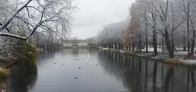 Przyroda w pobliżu tego apartamentu