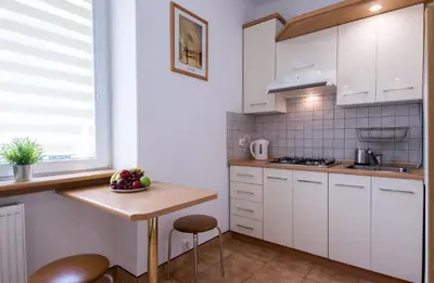 Kuchnia lub aneks kuchenny w obiekcie Modern Apartment at Classic Warsaw