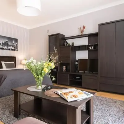 Modern Apartment at Classic Warsaw
