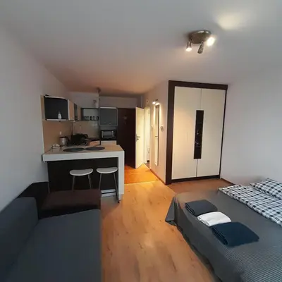 Kuchnia lub aneks kuchenny w obiekcie Central Station Apartment
