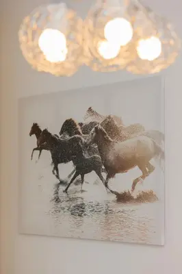 Zwierzęta w apartamencie lub w pobliżu
