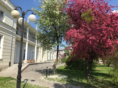 Ogród w obiekcie Wilson Apartment