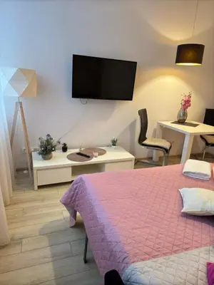 Telewizja i/lub zestaw kina domowego w obiekcie Zlatarooms 208