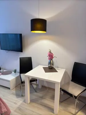 Telewizja i/lub zestaw kina domowego w obiekcie Zlatarooms 208