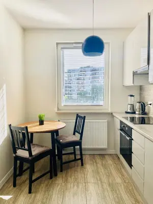 Kuchnia lub aneks kuchenny w obiekcie IkigaiHome PL modern apartment with garage
