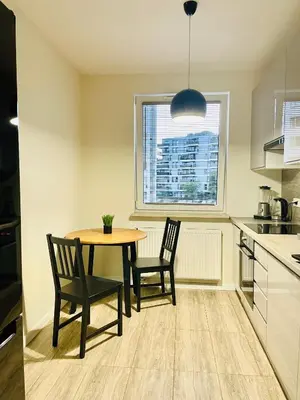 Kuchnia lub aneks kuchenny w obiekcie IkigaiHome PL modern apartment with garage