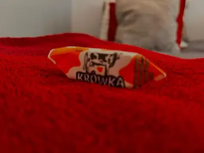 Certyfikat, podpis lub inny dokument wystawiony w obiekcie Nice 1Room Condo WarszawaCenter