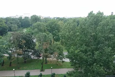 Przyroda w pobliżu tego apartamentu