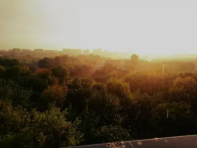 Przyroda w pobliżu tego apartamentu