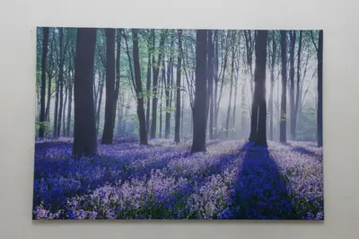 Plan piętra w obiekcie Humblebee Nest Muranów