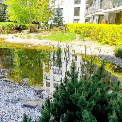Ogród w obiekcie HomeComfort Apartament Gulia