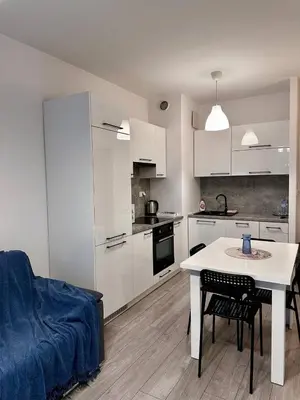 Kuchnia lub aneks kuchenny w obiekcie Apartment Wola z ogródkiem