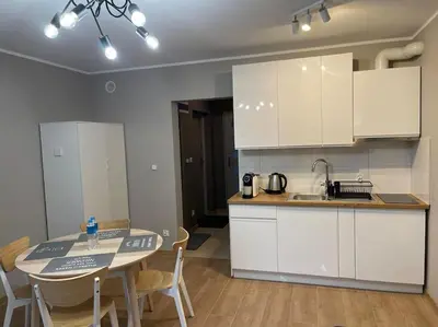 Kuchnia lub aneks kuchenny w obiekcie Cyprysowa Fine Apartment