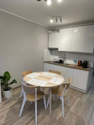 Kuchnia lub aneks kuchenny w obiekcie Cyprysowa Fine Apartment