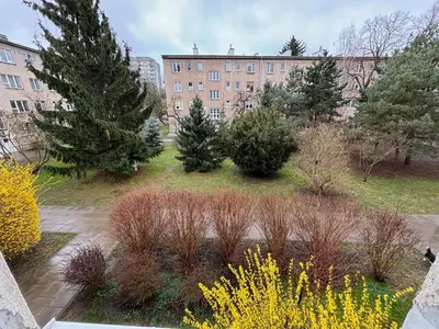 Ogród w obiekcie Smooth Life Apartment
