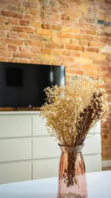 Telewizja i/lub zestaw kina domowego w obiekcie Stylish apartment in Warsaw