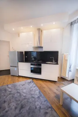 Kuchnia lub aneks kuchenny w obiekcie Poznanska Apartment. Great location. City Center