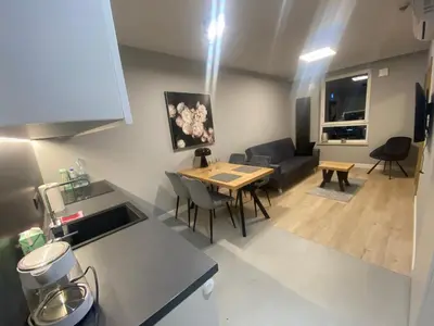 Kuchnia lub aneks kuchenny w obiekcie Wiktoryn 6 piękne nowe apartamenty z dużymi balkonami