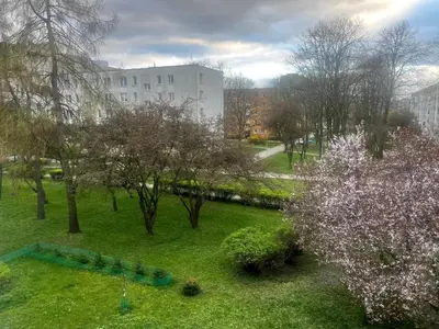 Ogród w obiekcie Olo Apartment