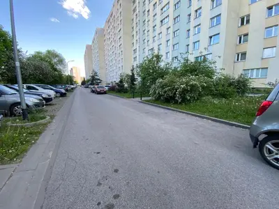 Okolica w pobliżu tego apartamentu