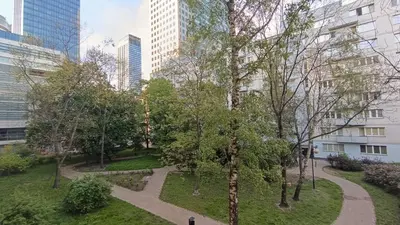 Ogród w obiekcie MetroStudio Panska 7 Street