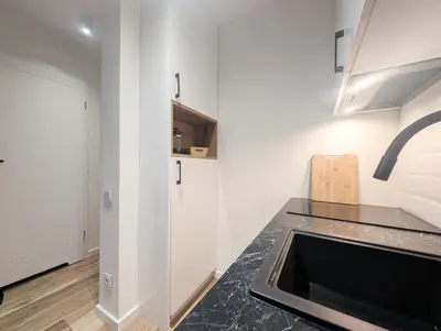 Kuchnia lub aneks kuchenny w obiekcie MetroStudio Panska 7 Street